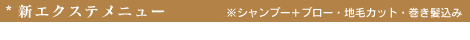 新エクステメニュー