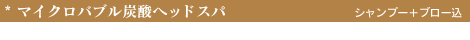 マイクロバブル炭酸ヘッドスパ料金
